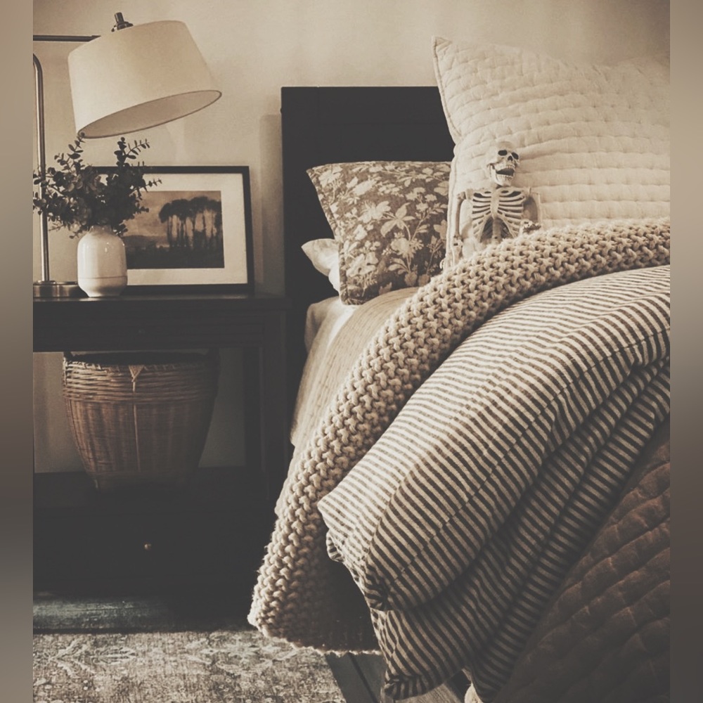 Shams One Decorative Pillow & Two shams - Picture 12 of 16